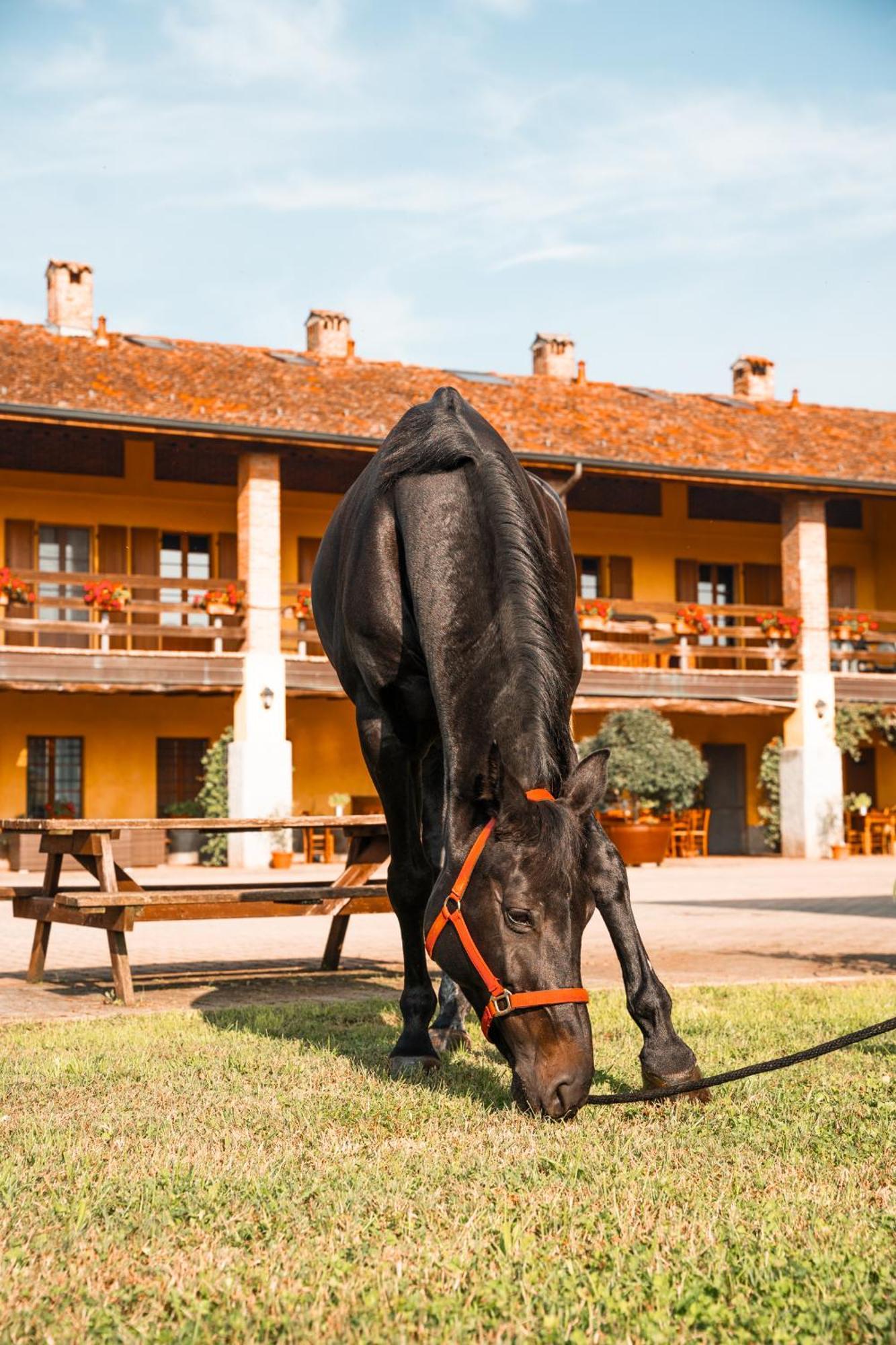 Agriturismo Bassanella Villa Treviglio Buitenkant foto